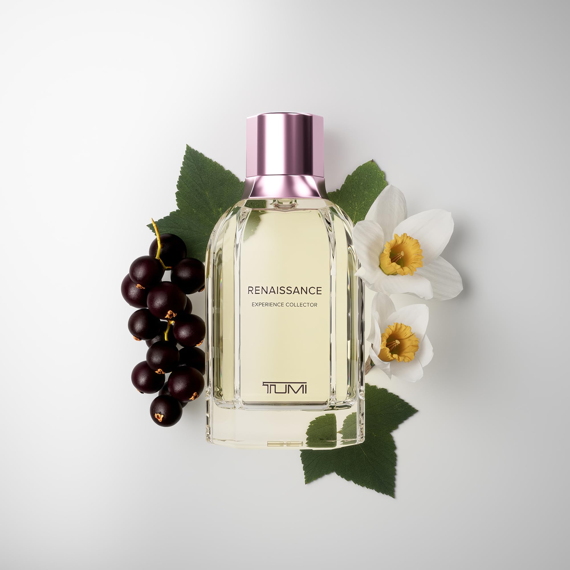 tumi-renaissance-experience-collector-extrait-de-parfum-2-0-fl-oz-60-ml-florambe image 3