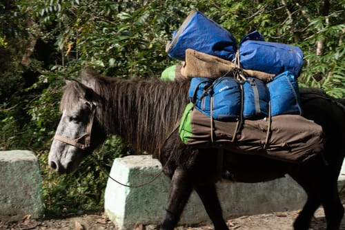 Great budget duffel