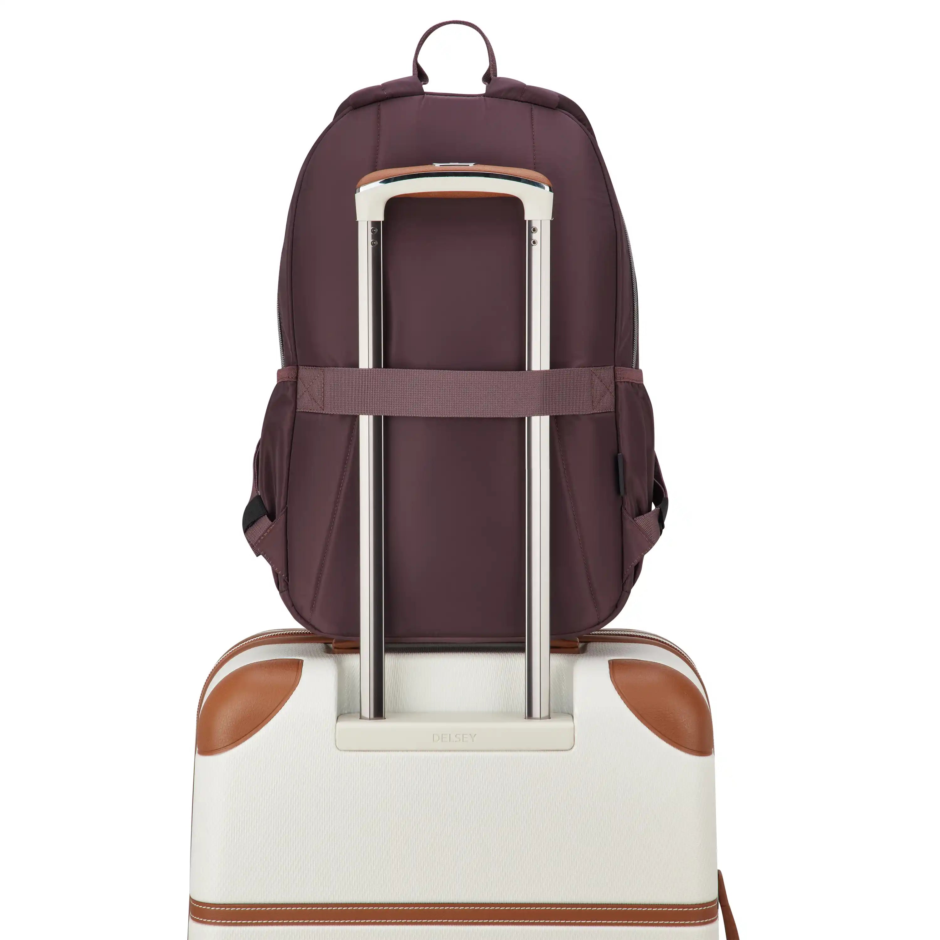delsey-bts-sunny-laptop-backpack-padded-15-6-laptop-sleeve-commuter-daypack-in-r image 2