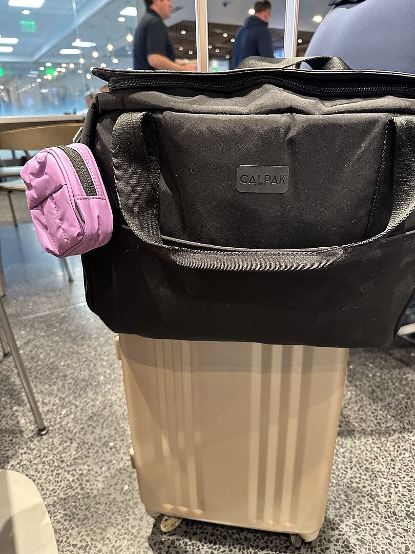 Perfect carry-on