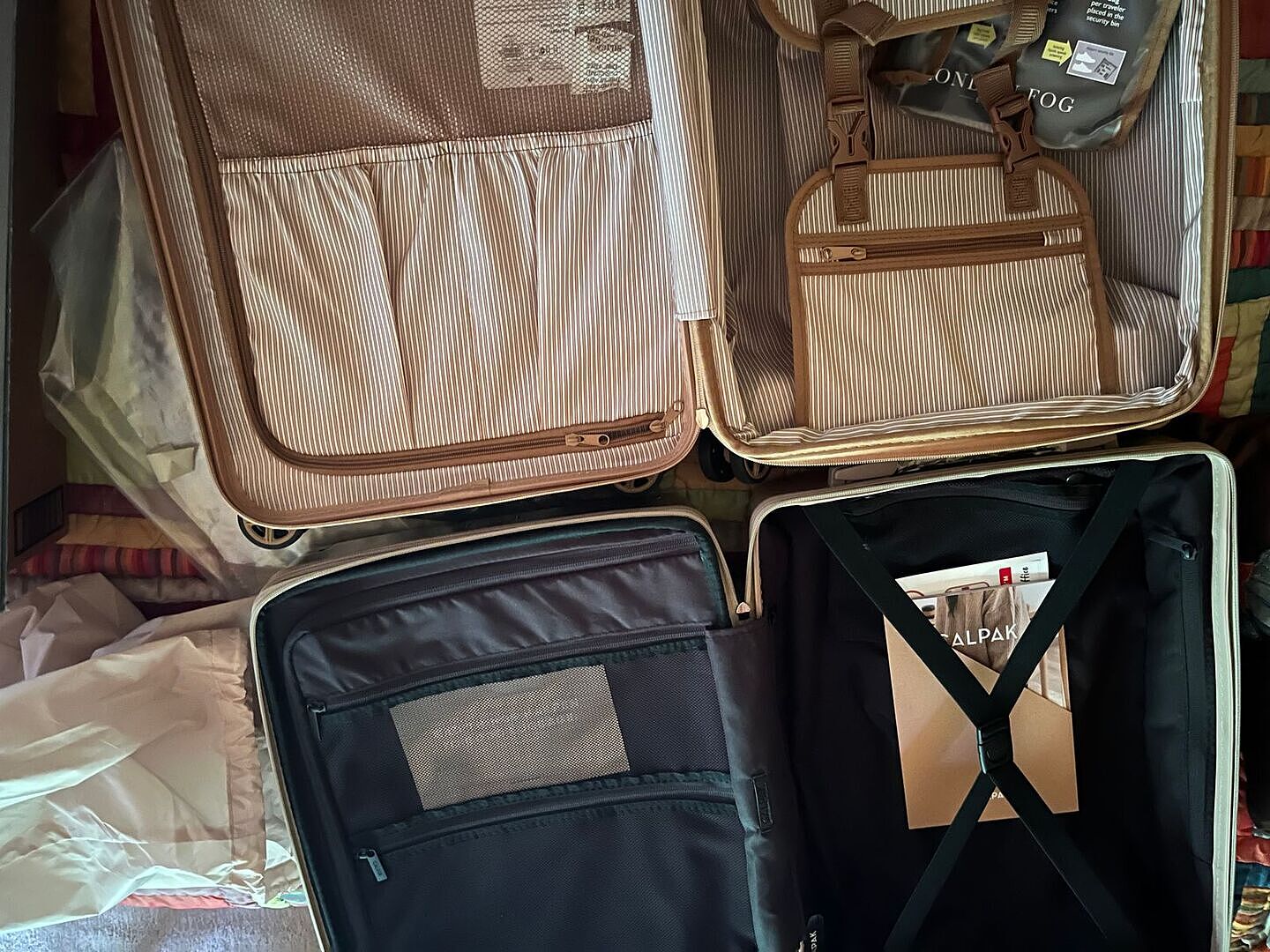 Best $89 I've spent on travel